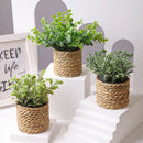 Mini Artificial Plant Decor