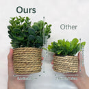 Mini Artificial Plant Decor