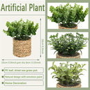 Mini Artificial Plant Decor