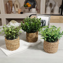 Mini Artificial Plant Decor