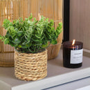 Mini Artificial Plant Decor