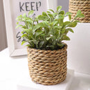 Mini Artificial Plant Decor